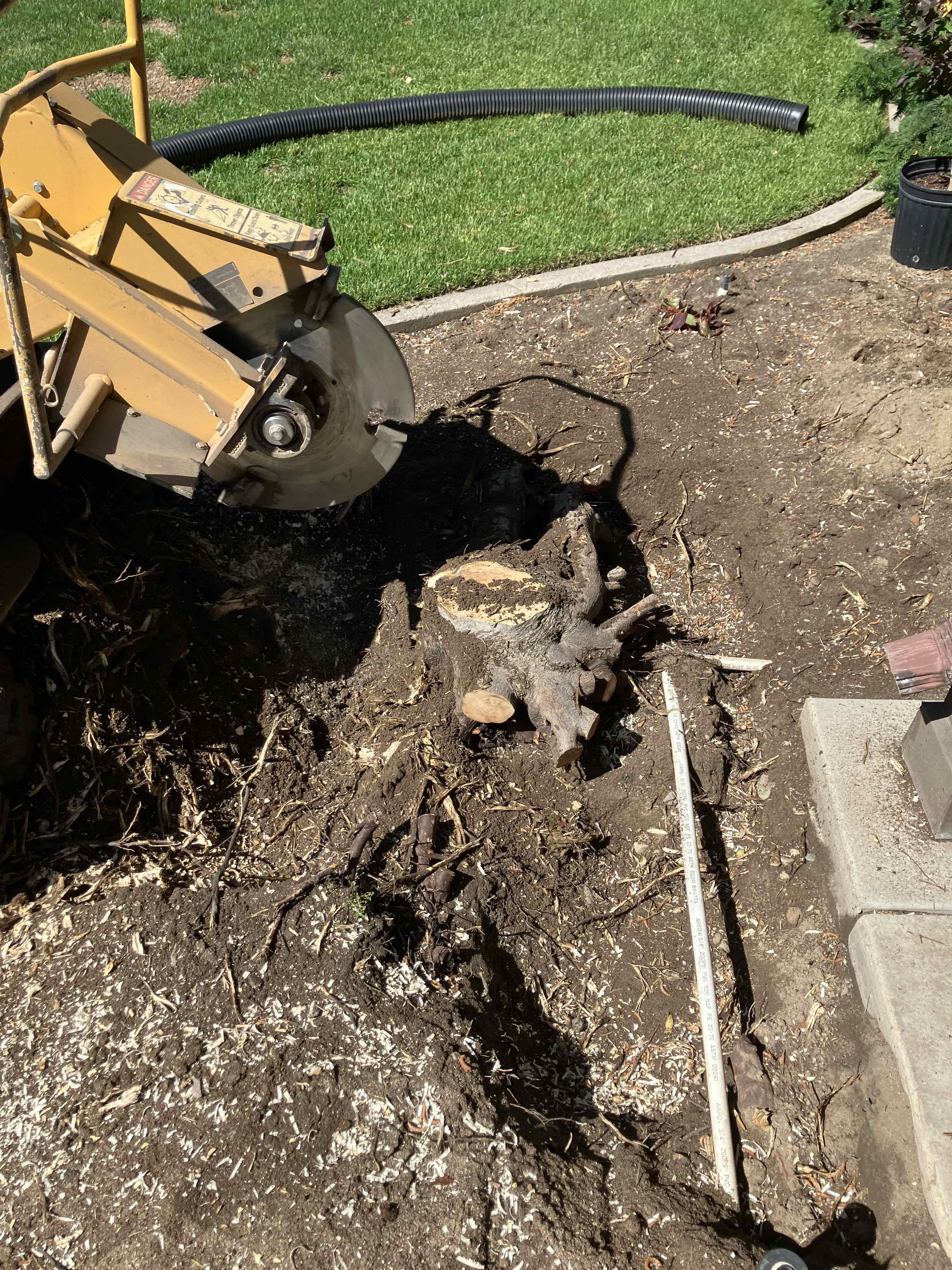 Stump Grinding in Sandy UT