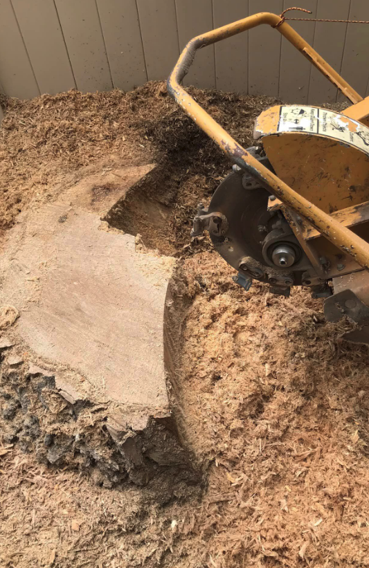 Tree Pruning Project 3