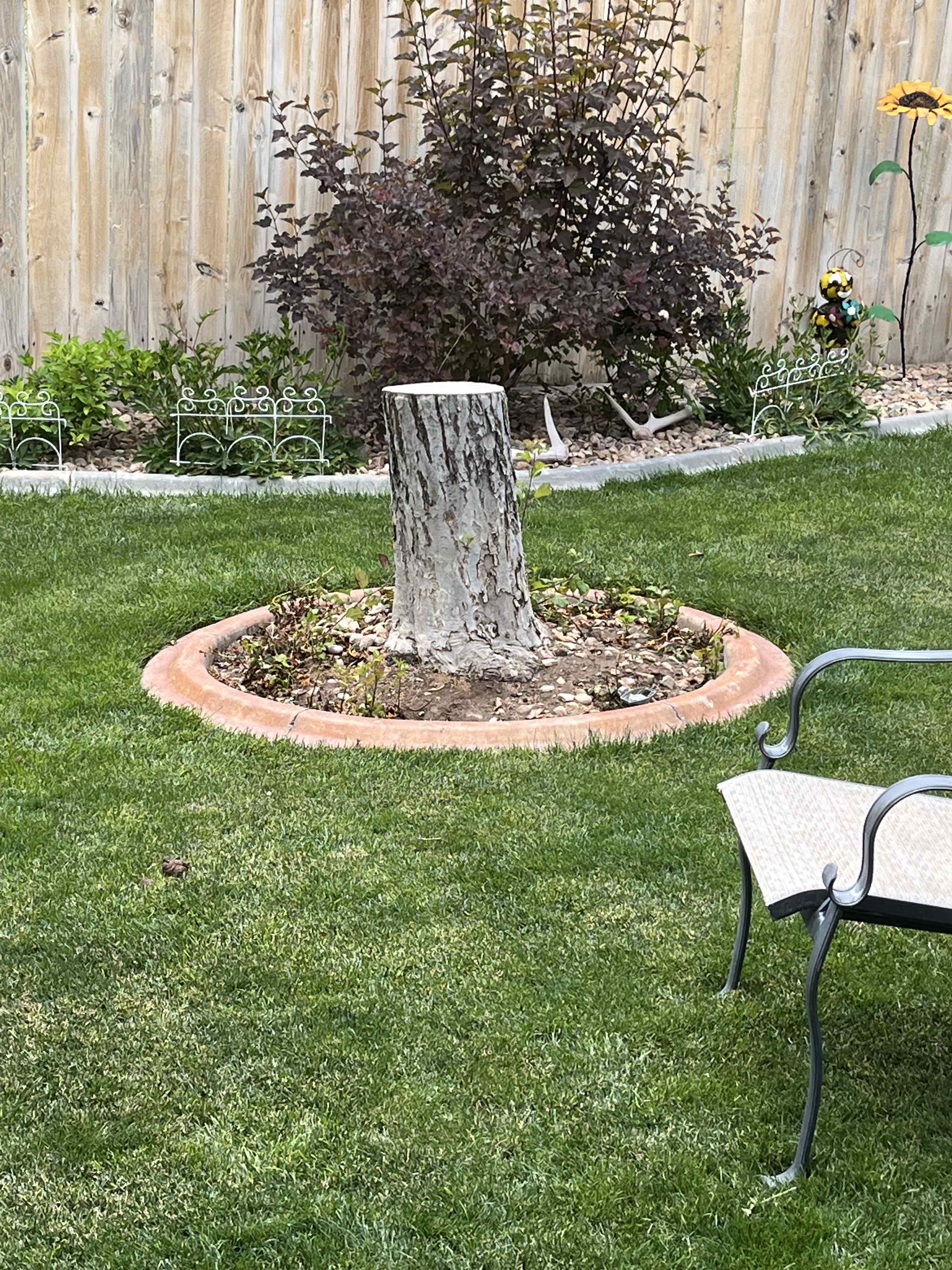 Spanish Fork stump grinding