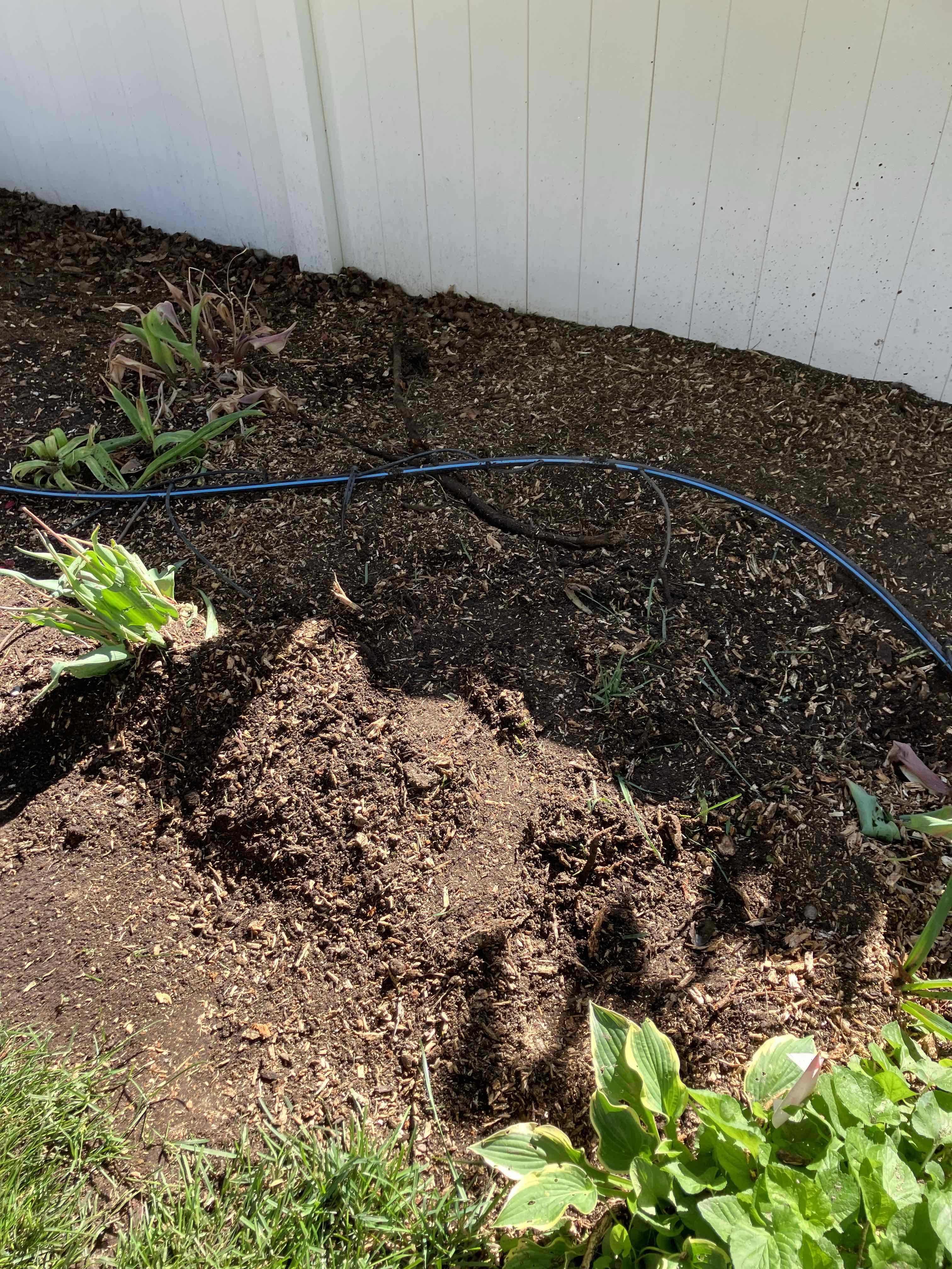 American Fork stump removal